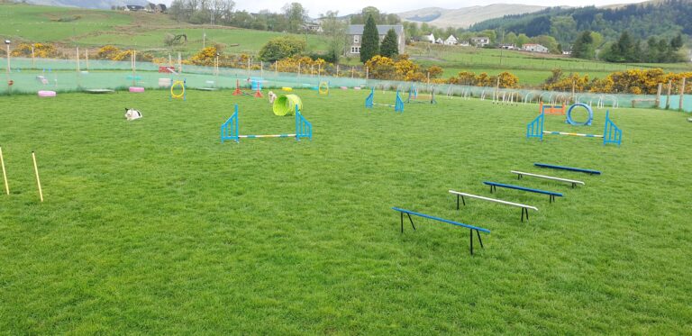 2018 bf36c5677106ffc4ebce234da4be0729 1 768x373