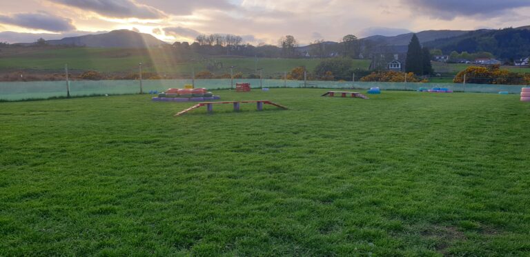 2018 ce24d7b3bdffc2a210cdbf36b62ec3d9 1 768x373