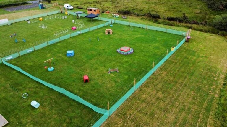 2018 ea4fe4e2c70531bf84a639691764937e 1 768x432