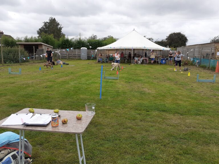 2035 35c71d4641ff2ff9eb8d6edbb65035aa 1 768x576