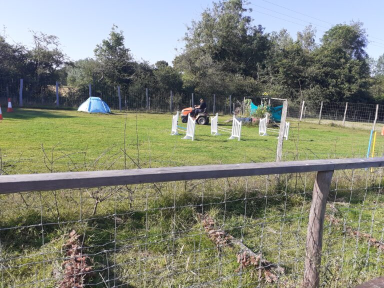 2035 7d759b5c01a1cae3750507c56648f0c6 1 768x576