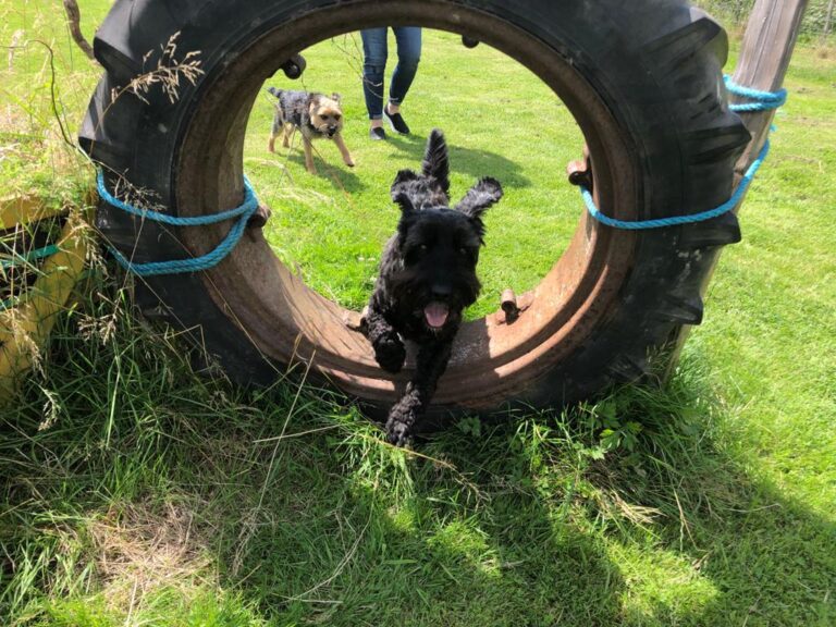 2035 f1219fe0afc8eacbca753bd835267432 1 768x576