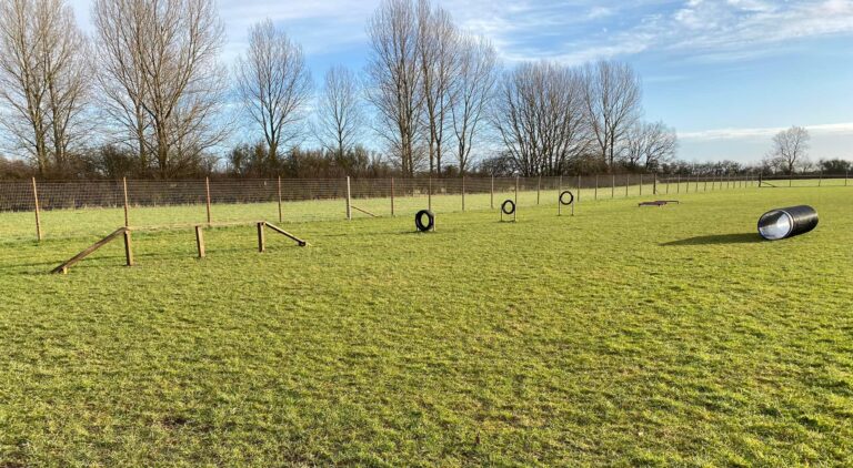 2048 585721461b46c6bf41a2376bca9e4769 1 768x422