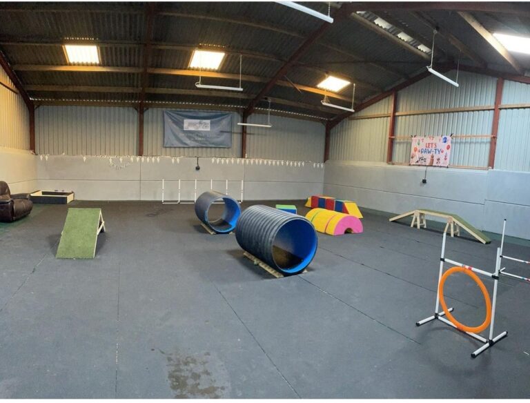 2051 5a302b779c2c934b5c44f022fe377854 1 768x584