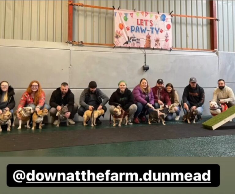 2051 e8a29c13d08a8aebcf654b1e80f5bc8b 1 768x633