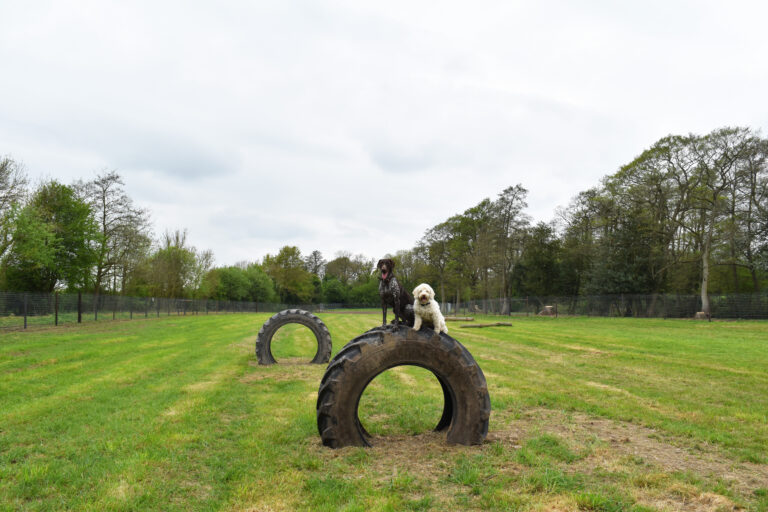 2053 58713818c239df10056103a8acc29023 1 768x512