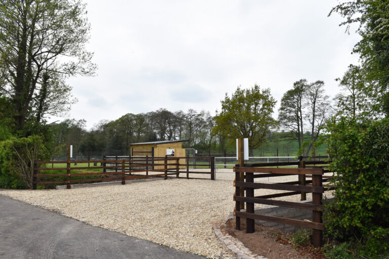 2053 fa897ef3d53f5e18dca81e4f019a1caa 1 768x512