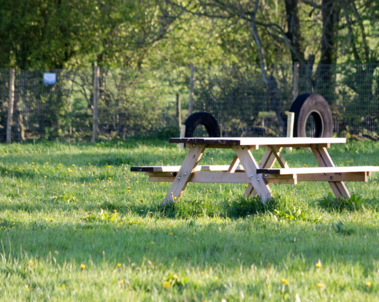 2072 0088d621eaa31e9d49e3b89a2d0ef663 1 768x612