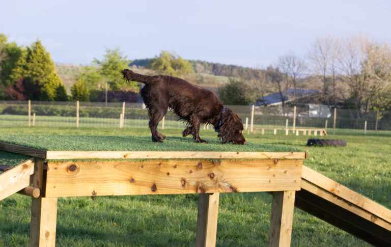 2072 339eb4b78957eb5a7e0fe14b3b79ed27 1 768x485