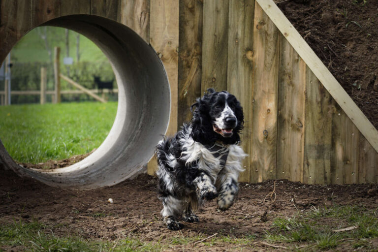 2072 66315136aa301065720a7a92df44ed95 1 768x512