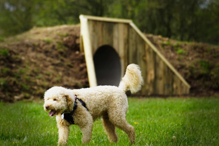 2072 6709a5a365296a15fa0a94907d7764e6 1 768x512