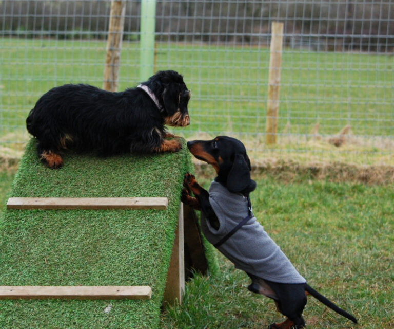 2072 9abec37c2efd6f4b8c8eeab9296598c2 1 768x640