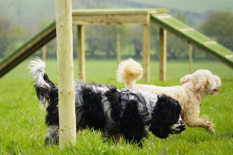 2072 ddd97f49b16a4322816f209d2efd0b9a 1 768x512