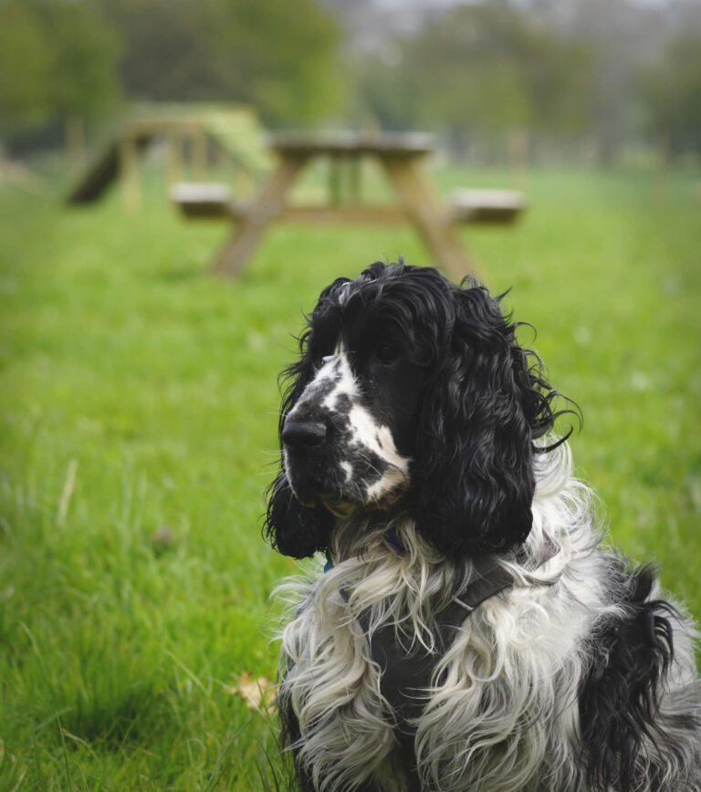 2072 e6cb857c429f687348804a45af83b5a6 1 768x868