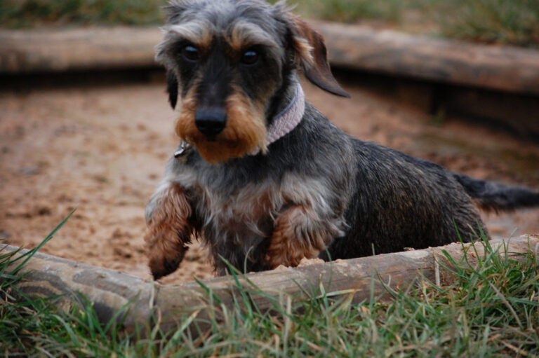 2072 f1ef1a0b86665d2228d519bc328df7c4 1 768x511