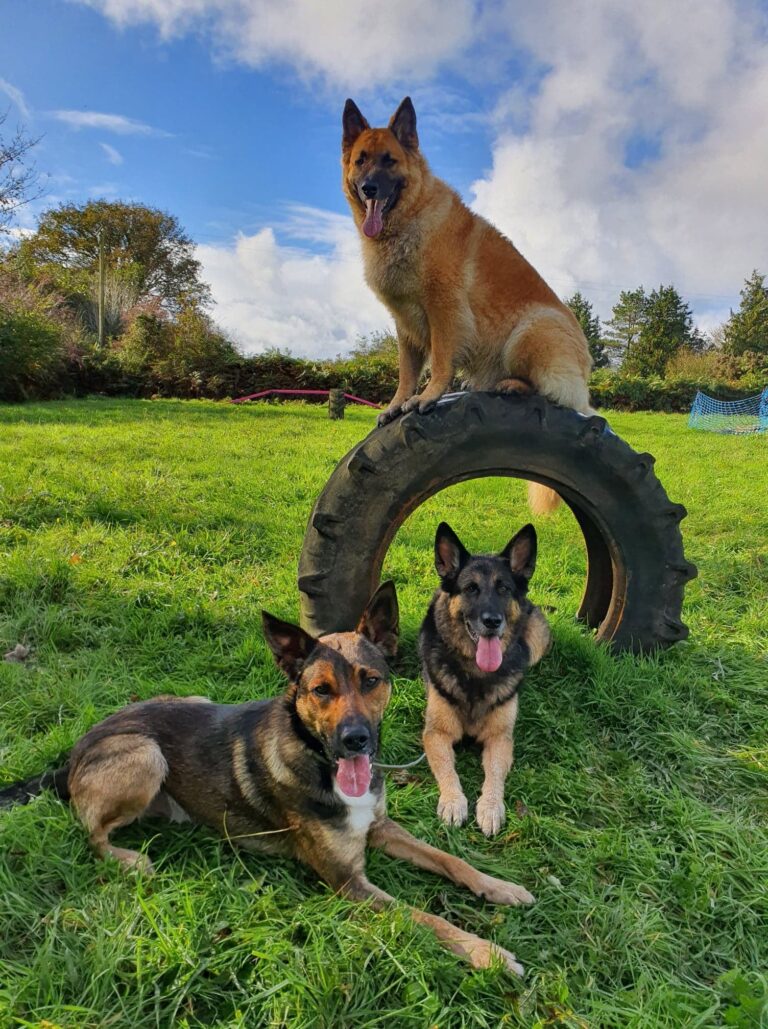 2081 db5d6512add4dc2a77090be644ab4c55 1 768x1029