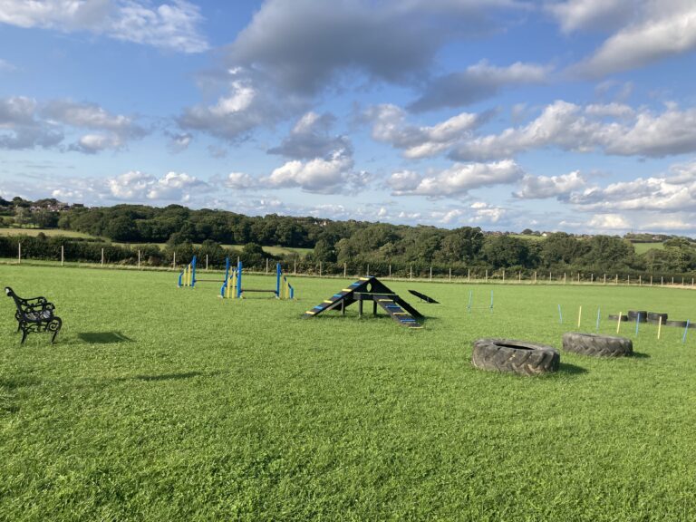 2090 907f11a27bd3edaf4a50fa5b829e807d 1 768x576