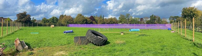 2094 1e640d69ef4d3fc5fb89d9b5bf7170ba 1 768x213