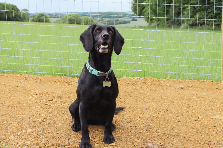 2096 add33938dba8b801e7e43285a4709c58 1 768x512