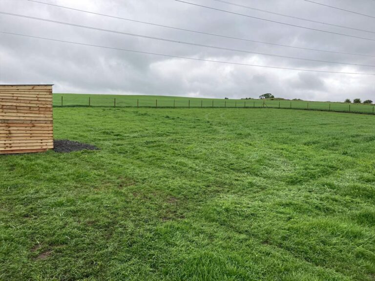 2097 208d9e0857fb4aff09edb5161b76928d 1 768x576