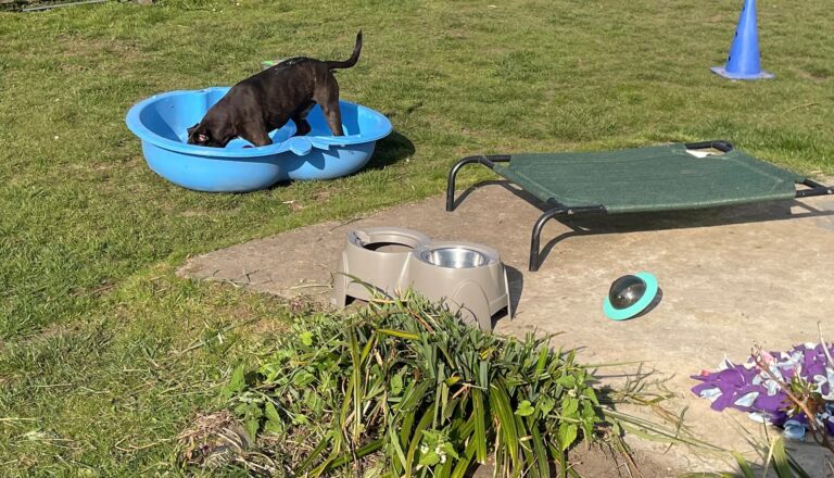 2099 0060cdc975851aede302e5a613d3c31e 1 768x440