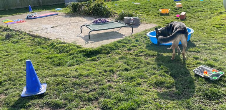 2099 0790d879e2e701b7e70e1000fb0f1dde 1 768x376