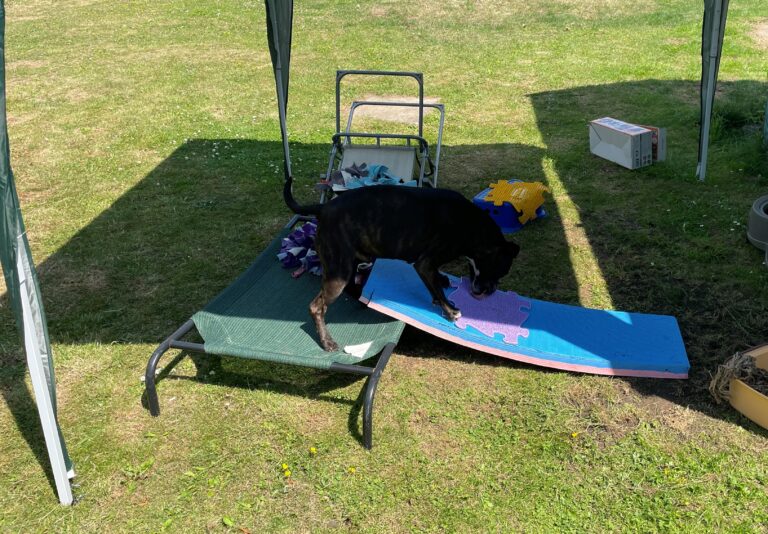 2099 0dc75484979dc713de725222421268b2 1 768x534