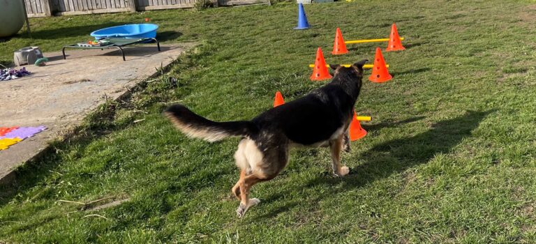 2099 0f40e79479d40b6c9fcad1a9ff245f7f 1 768x350