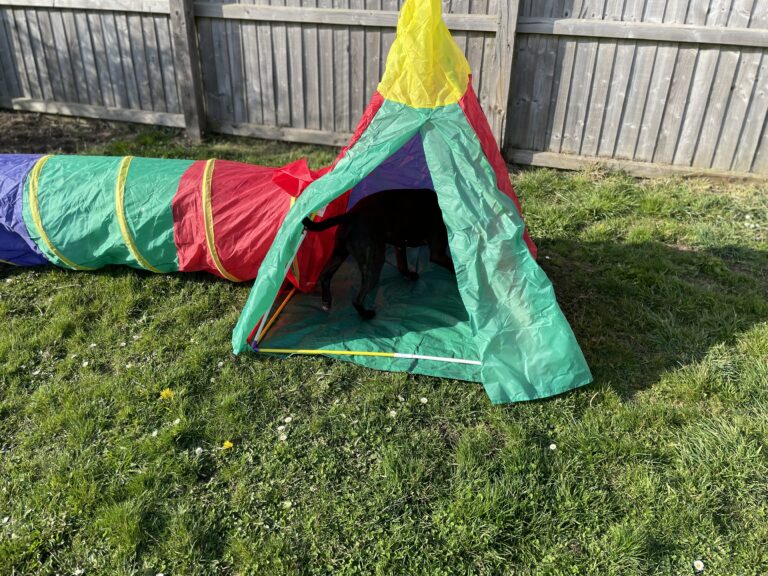 2099 11eabdb2d1264fbd80f00888ce41840a 1 768x576