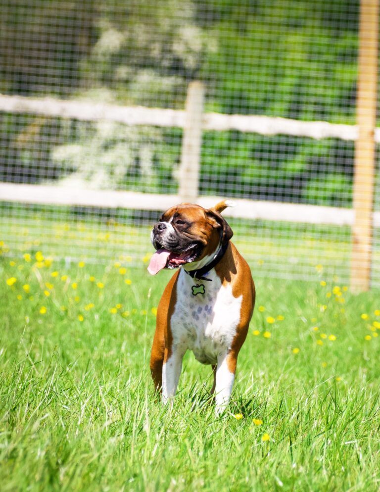 2101 7cba5c569cec9a2571ddd7e7adaeccef 1 768x994