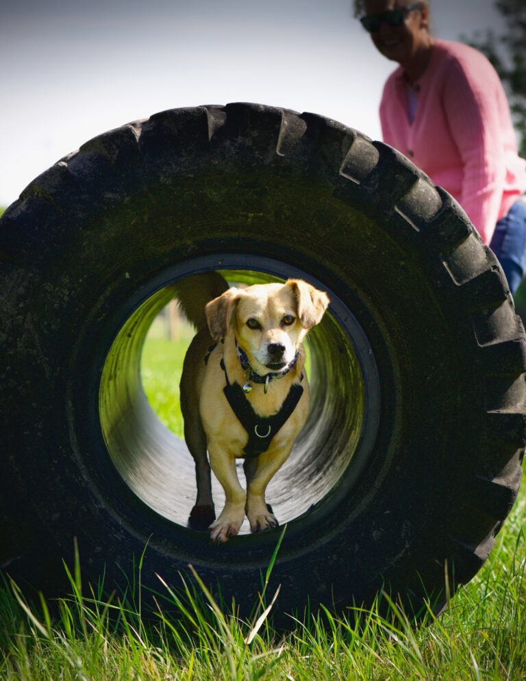 2101 951f03439443618096090ad9efc1298b 1 768x994