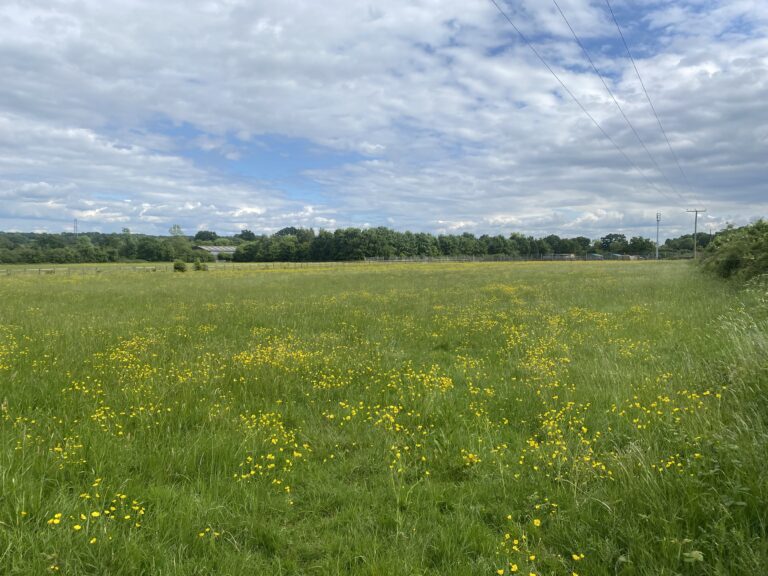 2101 b6a79051db1ecb6103d7489a929ee101 1 768x576