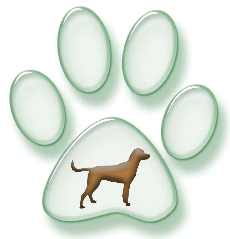 2107 e977440443a38e7df990a6ddc80a6873 1 768x796