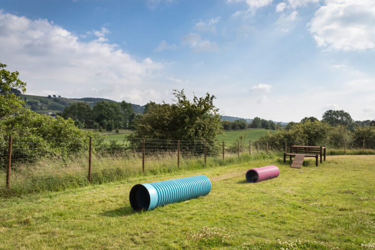 2108 2a00ab21f91e6da664ac5250c37e6ad9 1 768x512