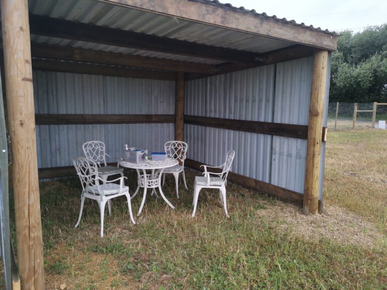 2109 1416e7cfcbb7434ac426219f66ead959 1 768x576