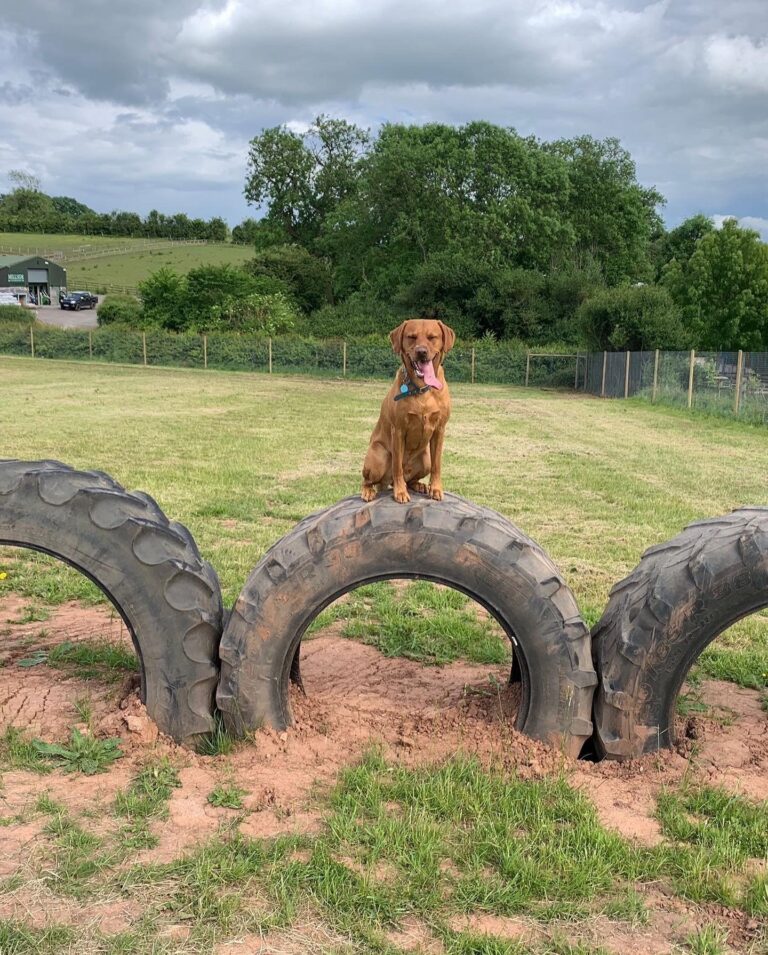 2110 53dfc386d0548e09a7ab5855448c0527 1 768x955