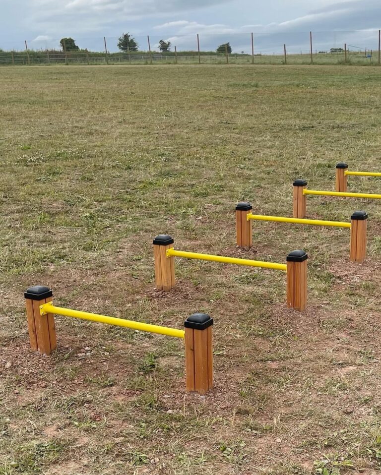 2110 b940a70ba23828a0c7637eea42692c81 1 768x958