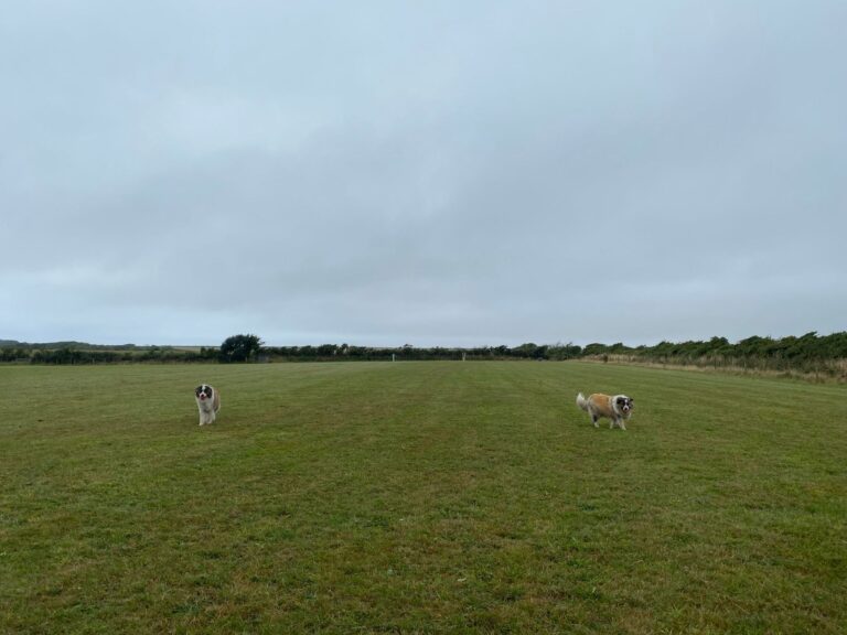 2112 ef7390a0bed0b6033ba3c50a4ab57539 1 768x576