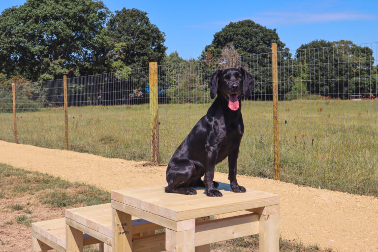 2114 2d39a66ba2f6729d9f22b999a6f552ba 1 768x512