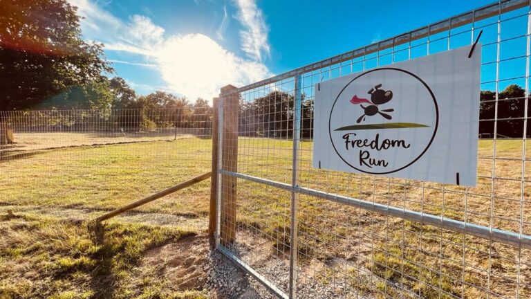 2135 7c15bd65dcf7e19a9588c31be35be686 1 768x432