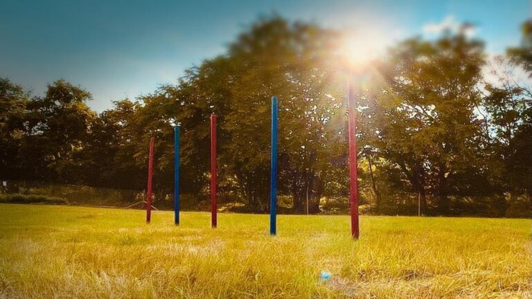 2135 f8c84b26b64827916601e9aed7f1a613 1 768x432