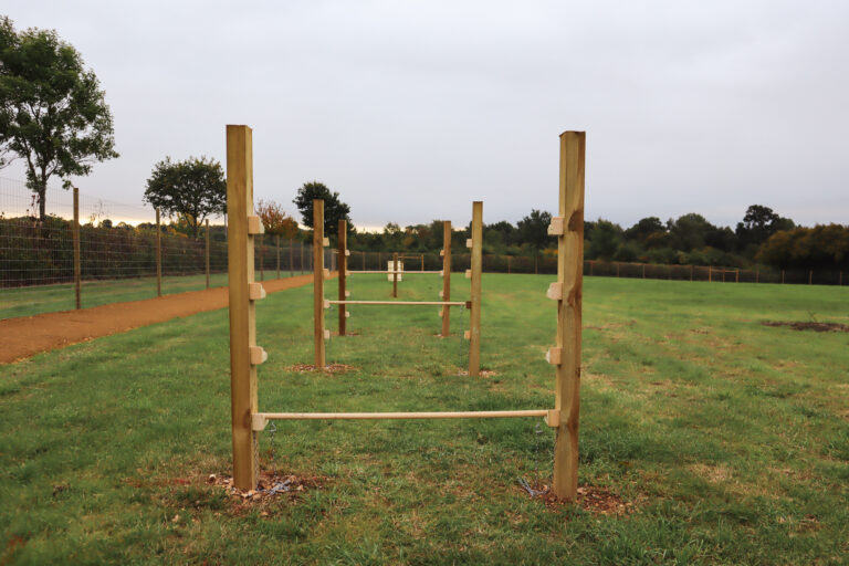 2143 04d3ce0d8d7d8847013ea08f5f8a6cff 1 768x512