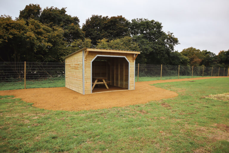 2143 3d06b01a650390bd6159161579771787 1 768x512