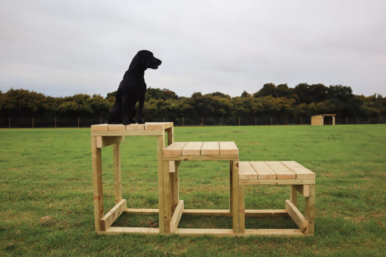 2143 67f82f6c50cc473d1516d247ddce0df8 1 768x512