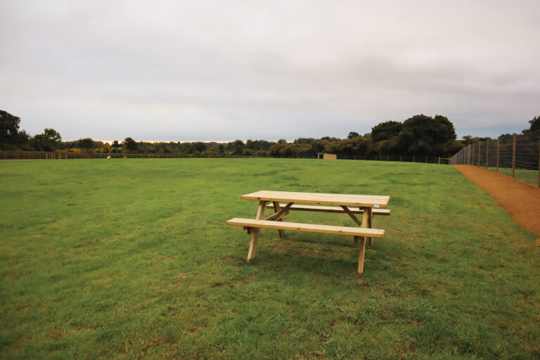 2143 bd6ccace6e719b559f41d27a87390ae5 1 768x512