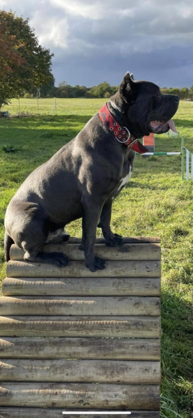 2145 7d7583bf9b687117b3937b52858a5122 1 768x1662