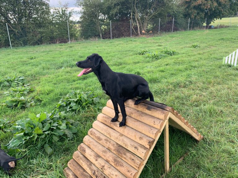 2145 8cd30f9070a1a4ea6f8f6a9fbff633ad 1 768x576