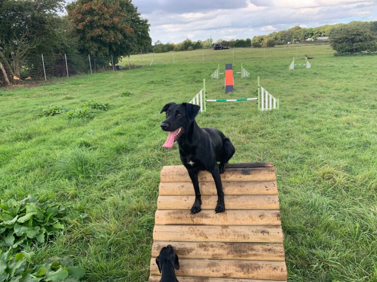 2145 cd9c4335b950ebe61a557e5a60012599 1 768x576