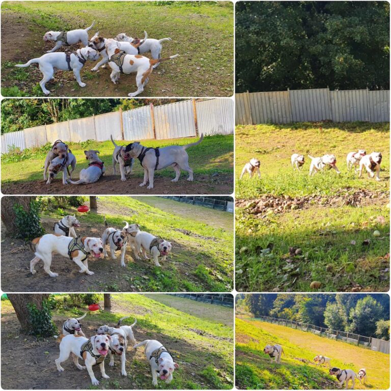 2148 08b7e1e337b82f1e9239e552fad1da96 1 768x768