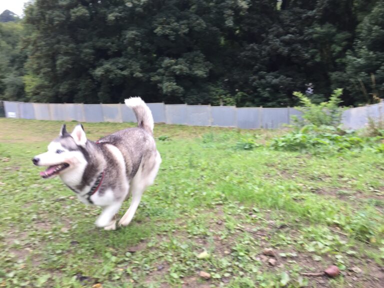 2148 18fcd200d19dbf493e41fb1f1b8a70b4 1 768x576